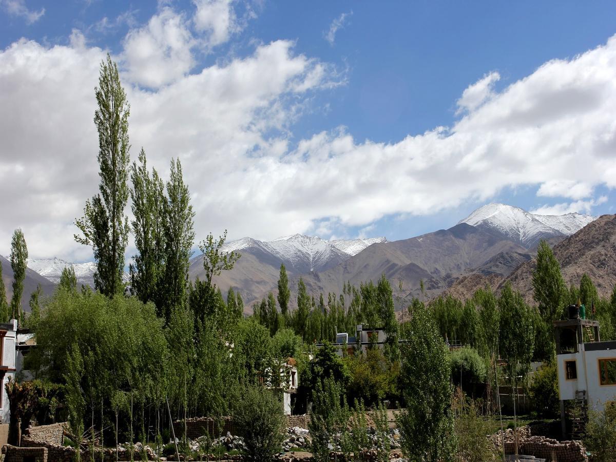 Hotel Mahay Palace Leh Exterior photo